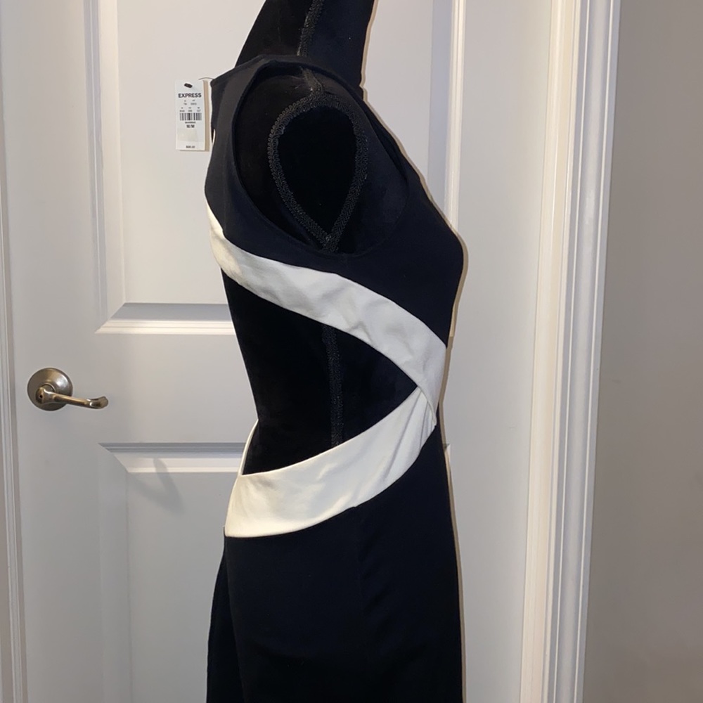 Express Color Block Bodycon Dress - Picture 3 of 4